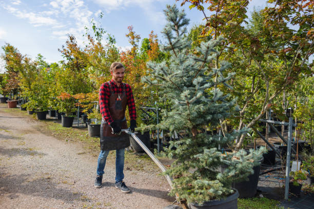 Best Commercial Tree Services  in Liberty, TX
