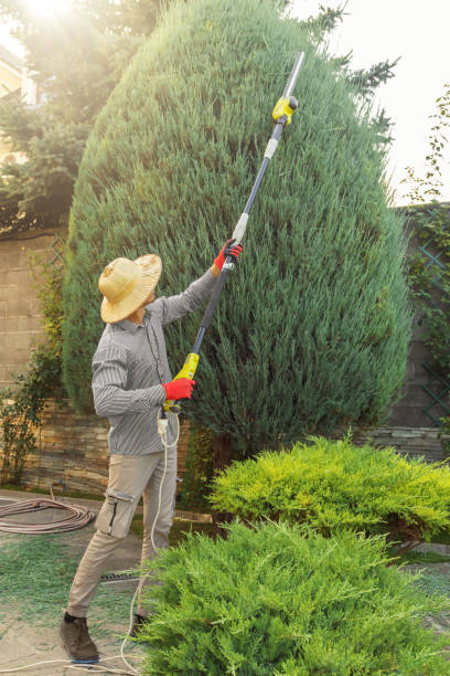 Best Utility Line Clearance  in Liberty, TX